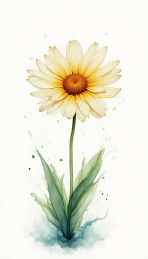 skoonheid,blom,blomme, varsheid,flora,natuurlik,lente,vars,closeup,eenvoudig,foto,plant — Lente Muurpapier