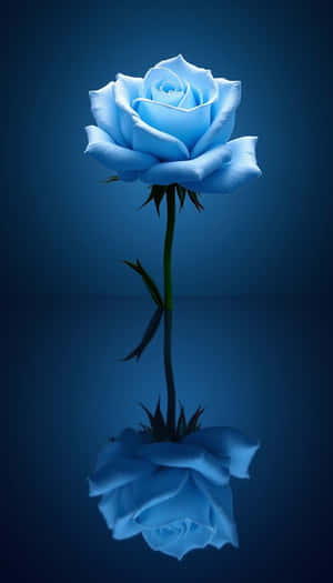 skoonheid,blomagtig,blom,varsheid,flora,natuurlik,lente,vars,close-up,eenvoudig,foto,plant — Lente Muurpapier
