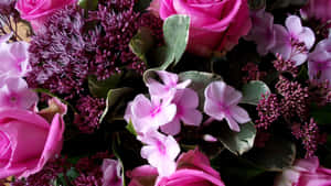 Pienk Blomme-agtergrond