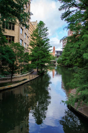Bome Langs San Antonio-rivierwandelpad — Huawei MatePad 11.5 S (2025) Muurpapier