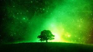 Boom Silhoeet Neon Groen Estetika — Neon groen estetika Muurpapier