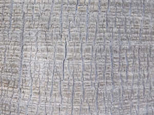 detail, houtagtig, agtergrond, materiaal, verweer, stam, abstrak, boom, tekstuur, oud, oppervlak, natuurlik, hout, patroon, growwe, veroudering, plant, nabyfoto, omgewing — Abstrak Muurpapier