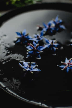 Borage Blou Blomme Foon — Huawei MatePad 11.5 (2026) Muurpapier