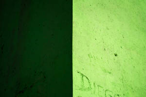 Boupaal in Pastelgroen — Pastelgroen Muurpapier