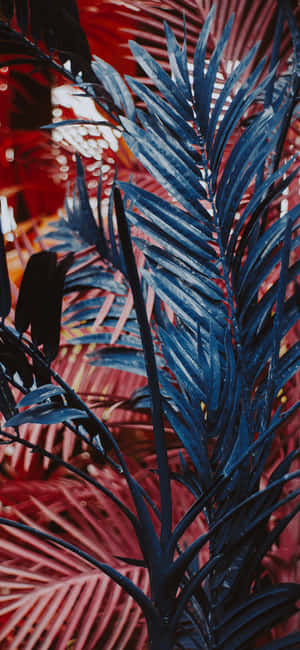 Plant Estetiese Foon — Redmi Note 17 Pro Max Muurpapier