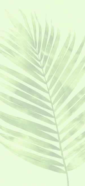 Groen Estetiese agtergrond — iPhone 16 Pro Muurpapier