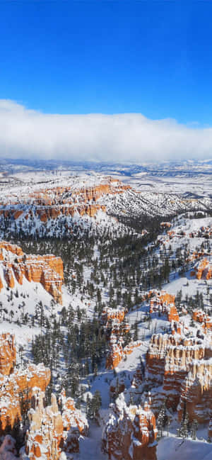 Bryce Canyon Nasionale Park Diep Sneeu — Vivo X500 Muurpapier