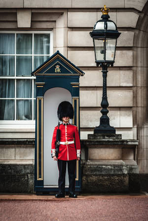 Buckingham-paleis koninklike wag — Huawei MatePad Air (2026) Muurpapier