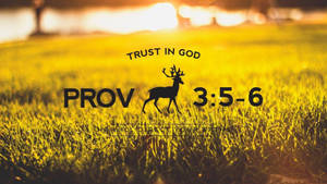 Bybelvers-estetika uit Spreuke — Estetiese bybelvers Muurpapier