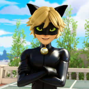 Cat Noir prente — Cat Noir Muurpapier