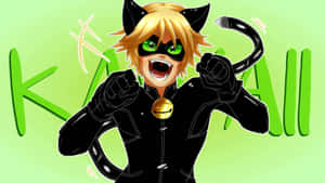 Cat Noir prente