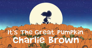 Charlie Brown Halloween Pampoene agtergrond
