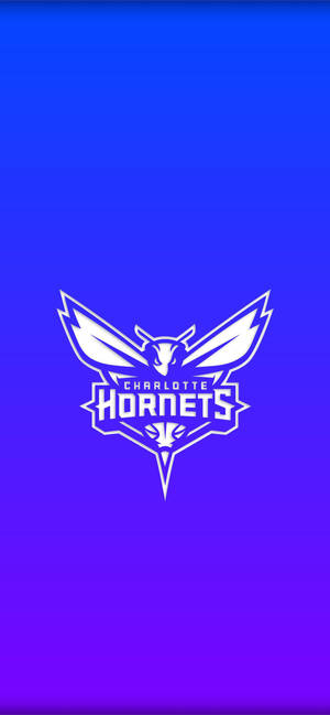 Charlotte Hornets Gradiënt Blou muurpapier — iPhone 17 Muurpapier