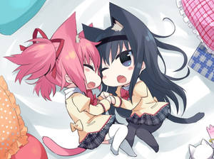 Chibi-kat anime lesbiërs agtergrond — Anime lesbiër Muurpapier