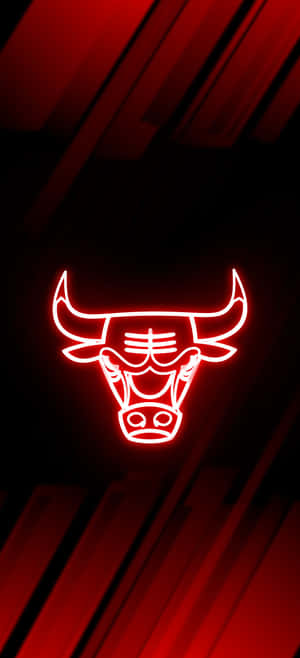 Chicago Bulls Phone — 20:9 Muurpapier