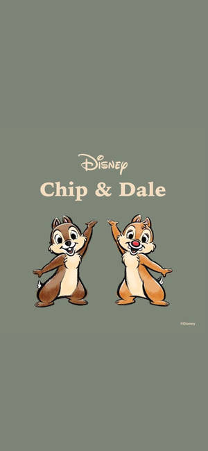 Chip N Dale op grys agtergrond muurpapier — Huawei Pura 80 Pro Muurpapier