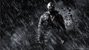 Dark Knight Rises Rolprent muurpapier