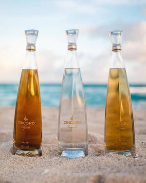 Cincoro Tequila-bottel op die Strand — Strand Muurpapier