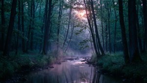'n Donker bos met mis en 'n reflektiewe stroompie in koel kleure teen dagbreek. — Donker woud Muurpapier