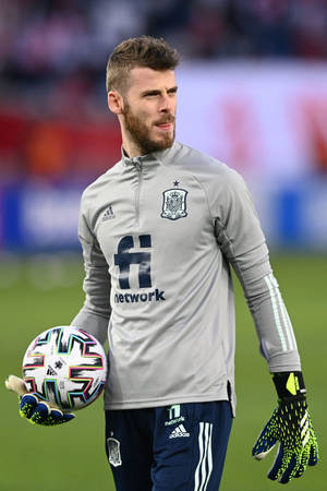 David De Gea Grys Spaanse Kit — Xiaomi Pad 7 Ultra Muurpapier
