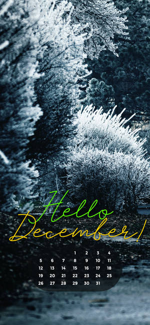Desember 2021 Wit Kersfees agtergrond — iPhone 17 Muurpapier