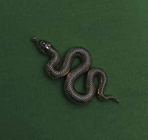 Slytherin-estetiek prente — Slytherin estetiek Muurpapier