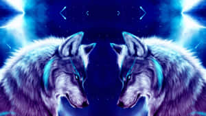 Galaxy Wolf agtergrond — Galaksi wolf Muurpapier