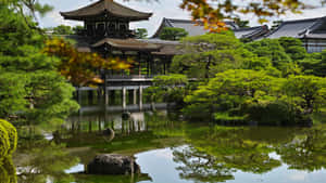 Japan prente — Japan GIF Muurpapier