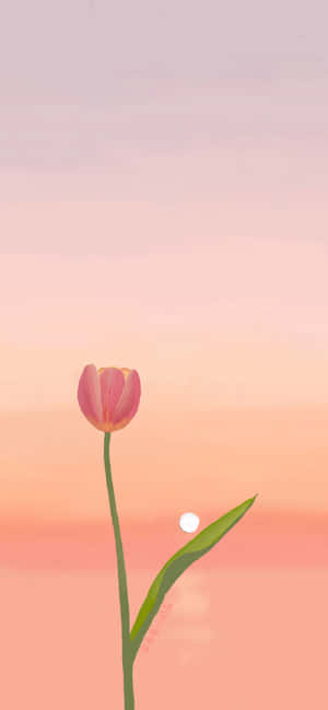 Tulp agtergrond — Realme Note Muurpapier