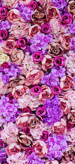 Pers Blom Prente — Pixel 8 Pro Muurpapier