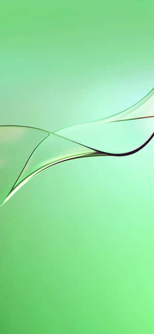 iPhone 11 Groen — iPhone 14 Plus Muurpapier