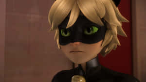 Cat Noir prente — Cat Noir Muurpapier