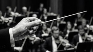 Dramatiese swart-en-wit nabyfoto van 'n dirigentstokkie met orkes. — Musiek estetika Muurpapier