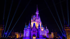 Disneyworld Snags — Neon pers estetika Muurpapier