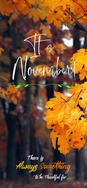 Dit is November herfsbome aanhaling-agtergrond — iPhone 14 Muurpapier