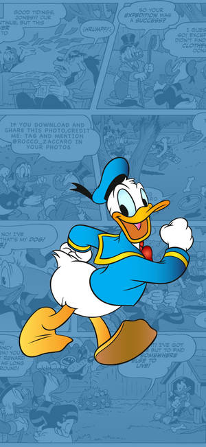 Donald Duck strokieprentillustrasie muurpapier — iPhone Xs Muurpapier
