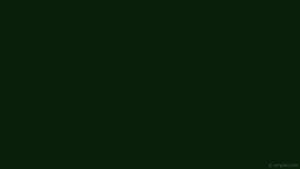 Donker Eenvoudige Groen