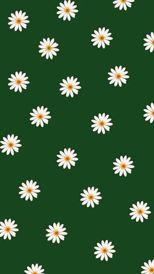 Donker Groen Wit Blomme — Donkergroen Muurpapier