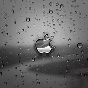 Donker Oulike iPad