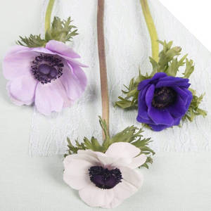 Drie Anemoonblomme-agtergrond — Tecno Phantom V Flip2 Muurpapier