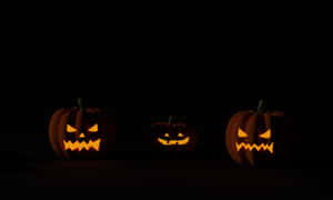 Halloween Pampoen Agtergrond — Halloween GIF Muurpapier