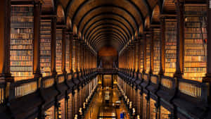 Biblioteek Agtergrond — Boek estetika Muurpapier
