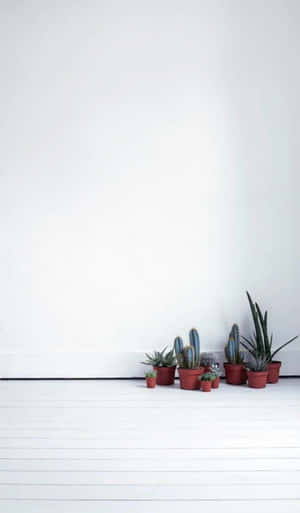 Estetiese minimalistiese prente — Tecno Megapad Muurpapier