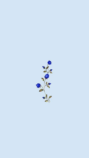 Eenvoudige Blou Estetiese Blou Rose