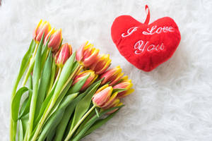 Ek Is Lief Vir Jou Hart Met Tulpe — Ek is so lief vir jou Muurpapier