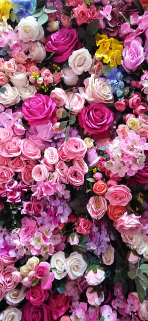 Rose Agtergrond — Galaxy Note Muurpapier