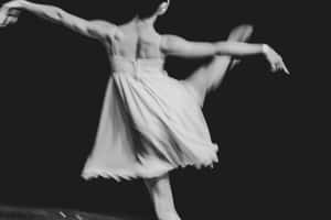 Elegante Monochromatiese Abstrakte Kuns
