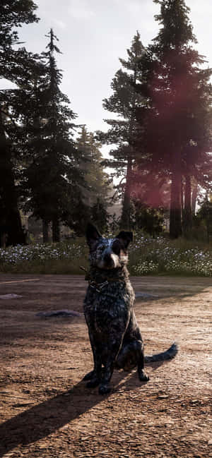 Iphone Xs Max Far Cry 5 Agtergrond — OnePlus 12 Muurpapier