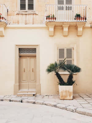 Estetiese Beige agtergrond — Esteties beige Muurpapier