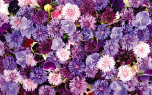 Estetiese Blomme-agtergrond — Estetiese Blom Muurpapier